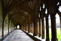 013 Canterbury