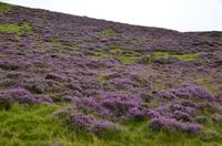 029 Glen Dee, Fotostopp