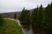 037 Glen Gairn