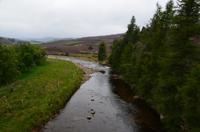 038 Glen Gairn