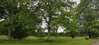 056 Glamis Castle, Landschaftspark und Italienischer Garten