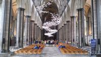 0580 Salisbury Cathedral