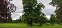 061 Glamis Castle, Landschaftspark und Italienischer Garten