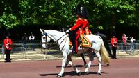 062 London, Generalprobe der Parade zum Queens-Geburtstag