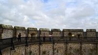 063 Arundel, Castle & Garden