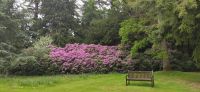 065 Glamis Castle, Landschaftspark und Italienischer Garten