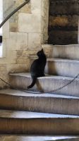 069 - Tower of London