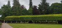 069 Glamis Castle, Landschaftspark und Italienischer Garten