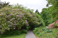 0782 Isle of Skye, Armadale Castle & Garden