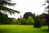 082 Oxford, Wadham College, Garten
