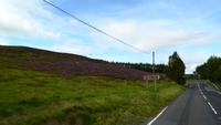086 In die Cairngorm Mountains