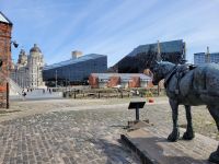 096 Liverpool