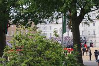 Trooping the Colour
