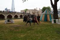 Duell um die Gunst der Königin (aber ohne Schubsen!)