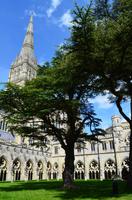 112 Salisbury Cathedral, Kreuzgang