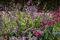 150 Knighthayes Court