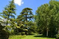 155 Knighthayes Court