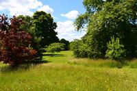 156 Knighthayes Court