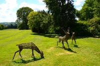 159 Knighthayes Court