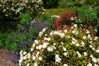 163 Knighthayes Court