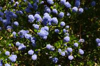 165 Knighthayes Court