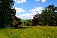 167 Knighthayes Court