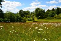 170 Knighthayes Court