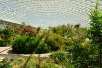 200 Nationaler Botanischer Garden Wales