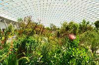 201 Nationaler Botanischer Garden Wales