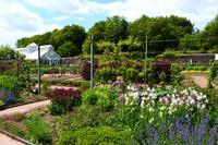 202 Nationaler Botanischer Garden Wales