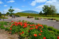 208 Nationaler Botanischer Garden Wales