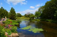 209 Nationaler Botanischer Garden Wales