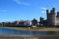 274 Nordwales, Caernarfon, Castle