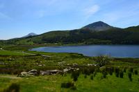 307 Nordwales, Fahrt mit der Welsh Highland Railway, Llyn Cwellyn