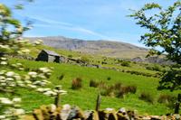 308 Nordwales, Fahrt mit der Welsh Highland Railway, Snowdon Mountain 1083 m