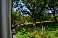 335 Nordwales, Fahrt mit der Welsh Highland Railway nach Beddgelert
