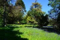 488 Schottland, Armadale Castle and Garden