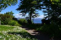 492 Schottland, Armadale Castle and Garden