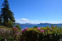 495 Schottland, Armadale Castle and Garden