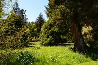 499 Schottland, Armadale Castle and Garden