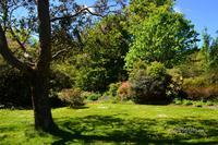 501 Schottland, Armadale Castle and Garden