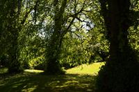 503 Schottland, Armadale Castle and Garden