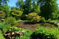 506 Schottland, Armadale Castle and Garden