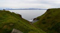540 Isle of Skye, Steilküste bei Lealt