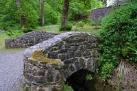 572 Isle of Skye, Dunvegan Castle and Garden