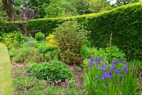 577 Isle of Skye, Dunvegan Castle and Garden