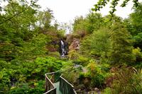 578 Isle of Skye, Dunvegan Castle and Garden