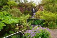 579 Isle of Skye, Dunvegan Castle and Garden