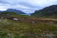 614 Schottland,  Landschaft am Loch Maree