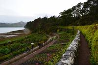 615 Schottland,  Inverewe Garden am Loch Ewe